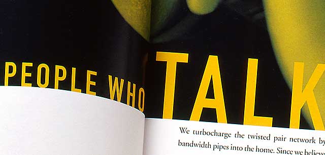 Next Level Communications annual report page detail